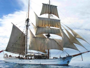 Sydney Tall ships sailing